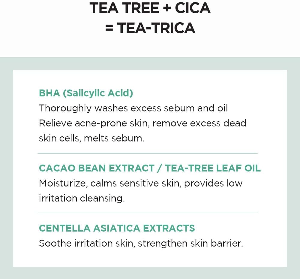 SKIN 1004 - Madagascar Centella Tea-trica BHA Foam