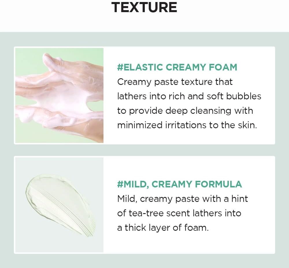 SKIN 1004 - Madagascar Centella Tea-trica BHA Foam