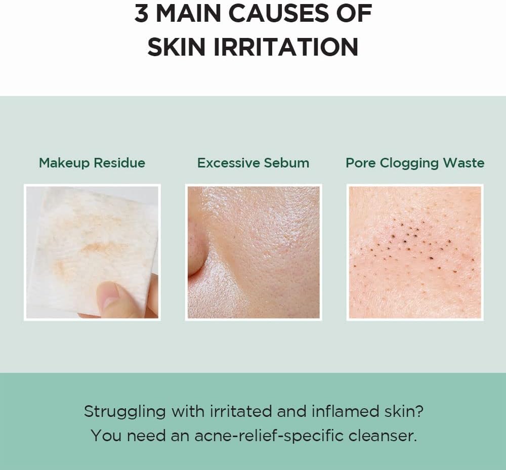 SKIN 1004 - Madagascar Centella Tea-trica BHA Foam