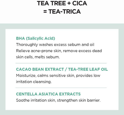 SKIN 1004 - Madagascar Centella Tea-trica BHA Foam