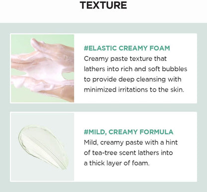 SKIN 1004 - Madagascar Centella Tea-trica BHA Foam