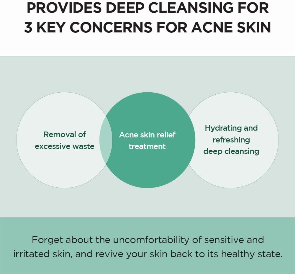 SKIN 1004 - Madagascar Centella Tea-trica BHA Foam