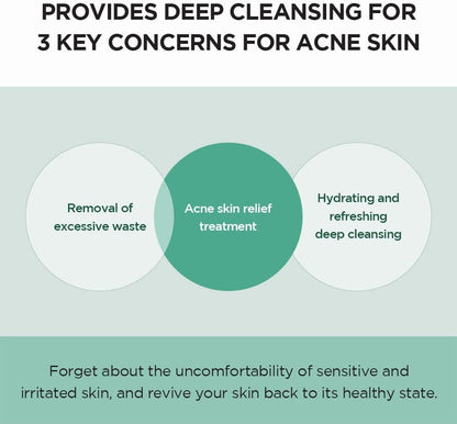 SKIN 1004 - Madagascar Centella Tea-trica BHA Foam
